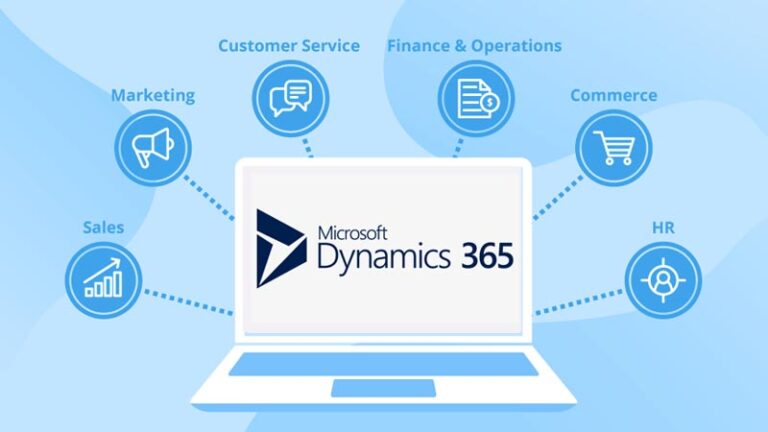 Microsoft’s ERP System